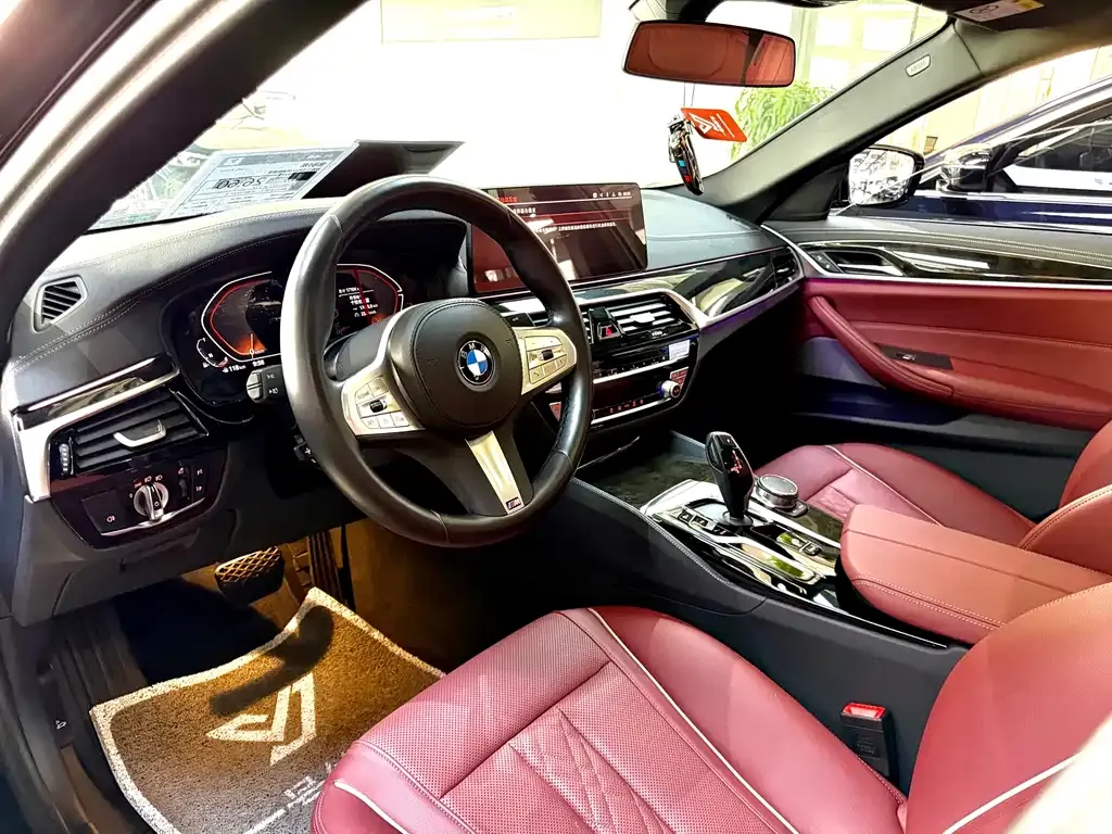 BMW 5 Series 2023 из CN, фото 6
