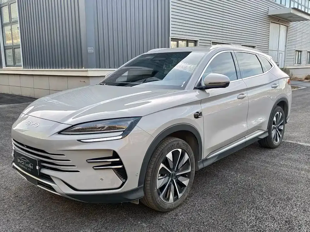 BYD PLUS New Energy — фото 1
