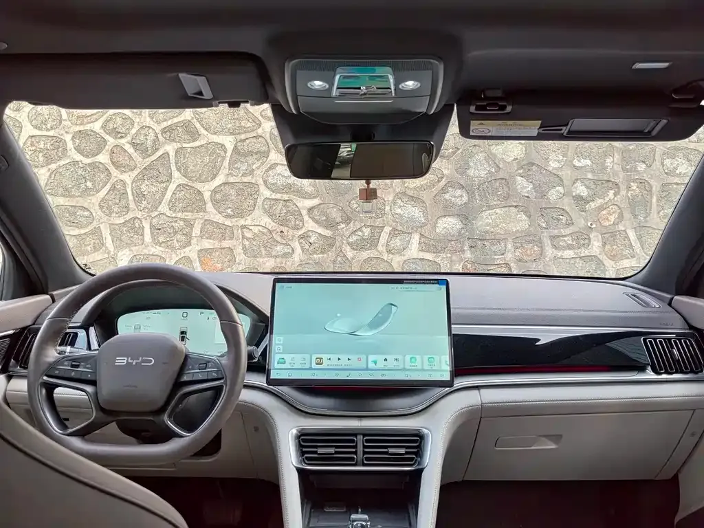 BYD PLUS New Energy — фото 10