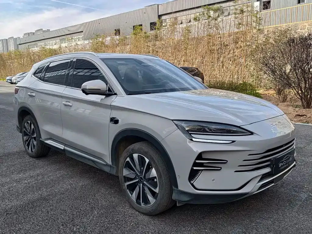 BYD PLUS New Energy — фото 3