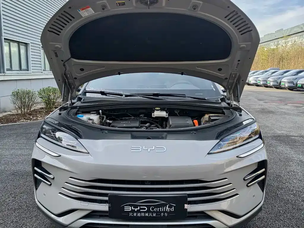 BYD PLUS New Energy — фото 4