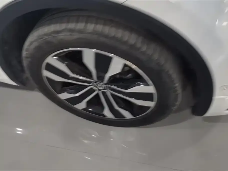 Volkswagen Tiguan L 2024 из CN, фото 6