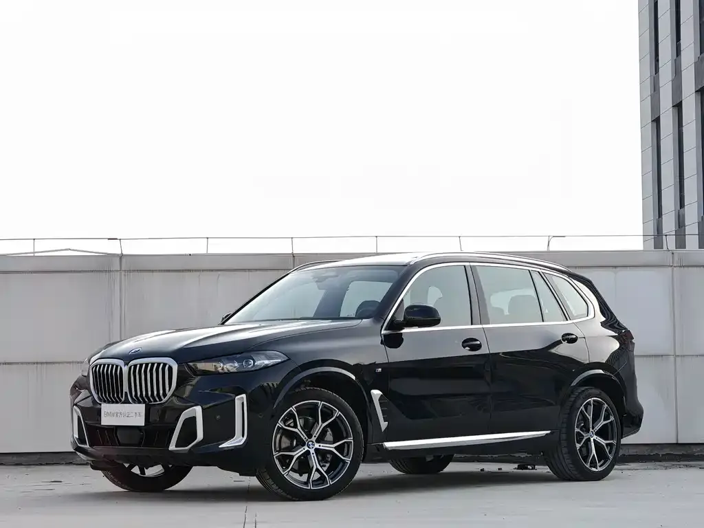 BMW X5 2025 из CN, фото 2