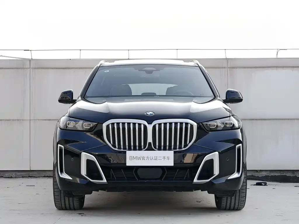 BMW X5 2025 из CN, фото 3
