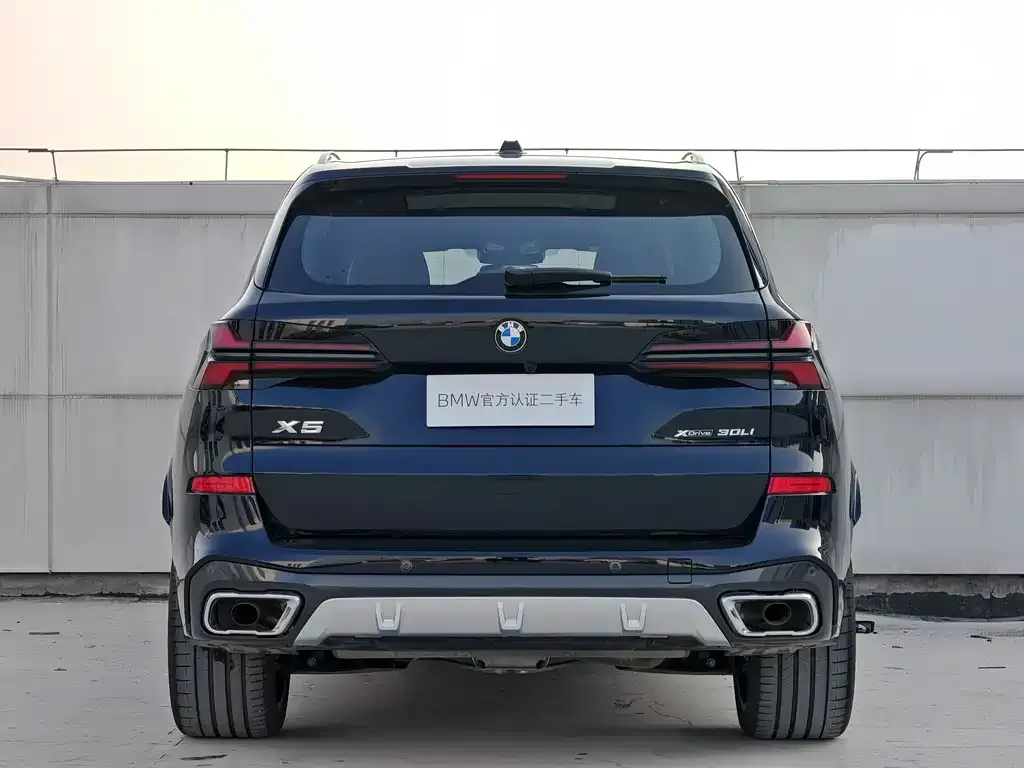 BMW X5 2025 из CN, фото 6