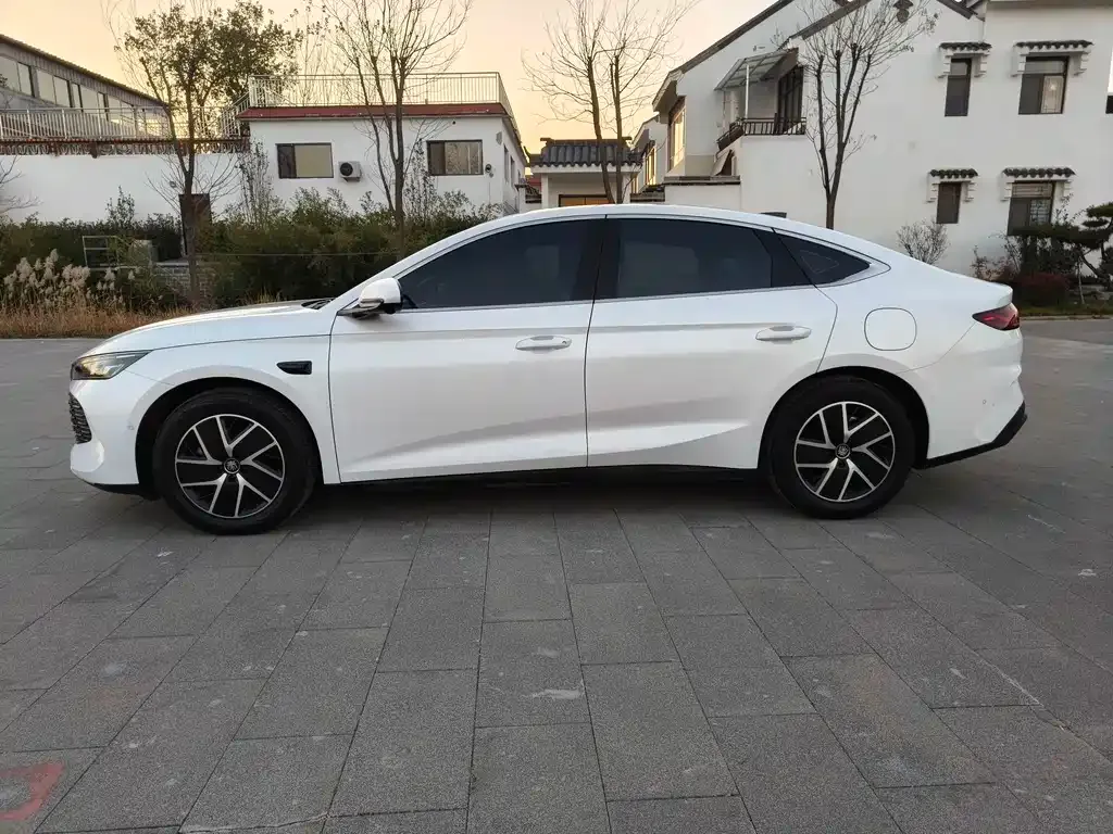 BYD Qin L — фото 4