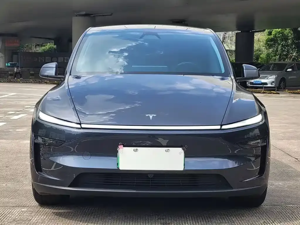 Tesla Model Y — фото 2
