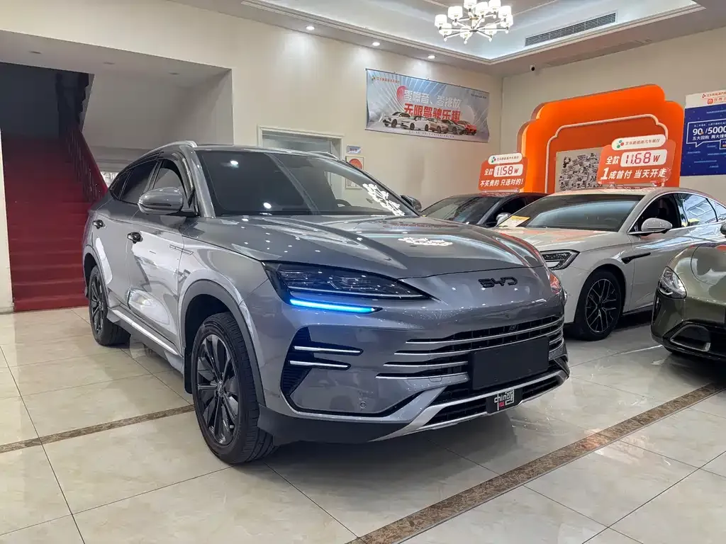 BYD PLUS New Energy — фото 3