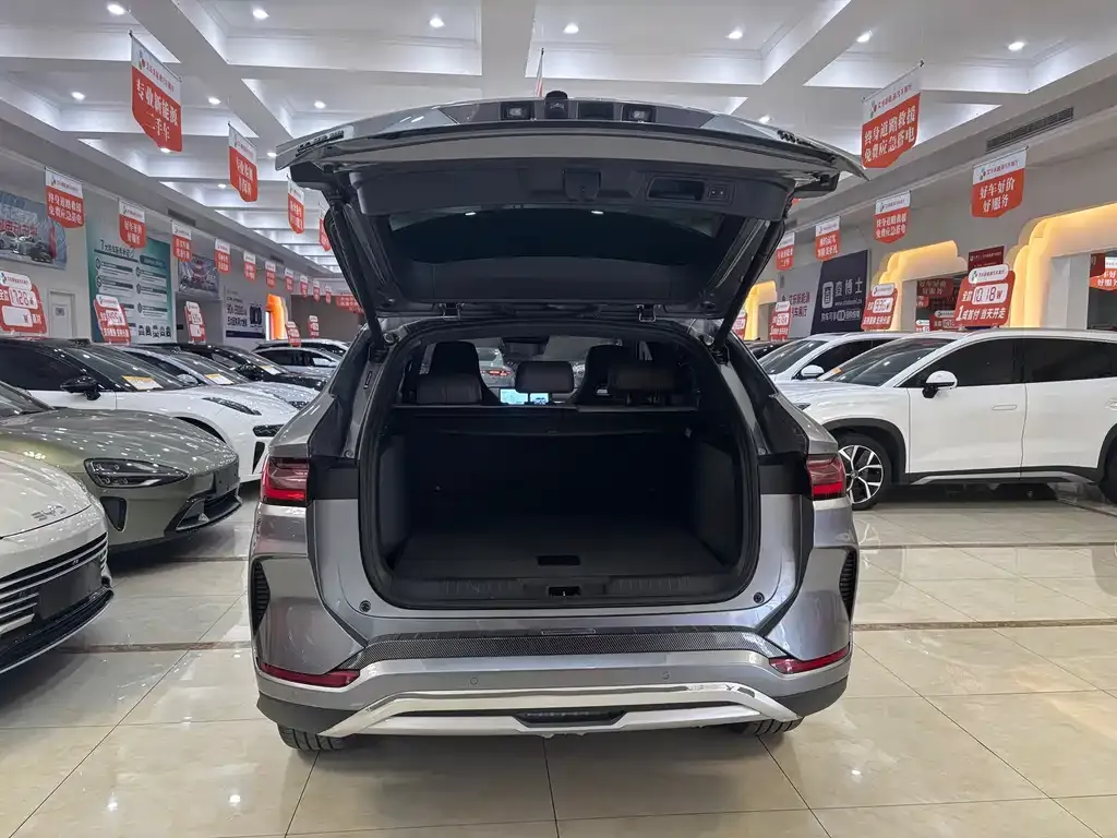 BYD PLUS New Energy — фото 7
