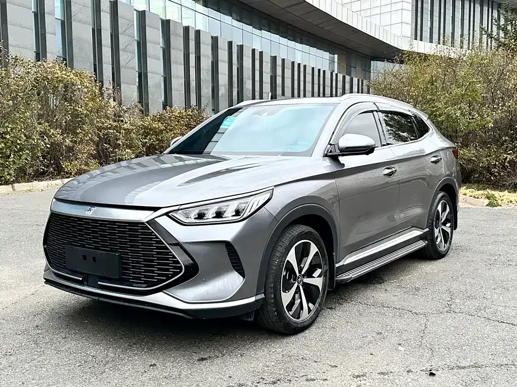 BYD PLUS New Energy 2021 из CN, фото 1