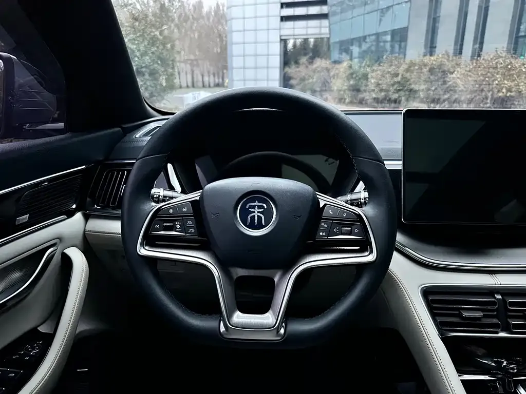 BYD PLUS New Energy 2021 из CN, фото 10