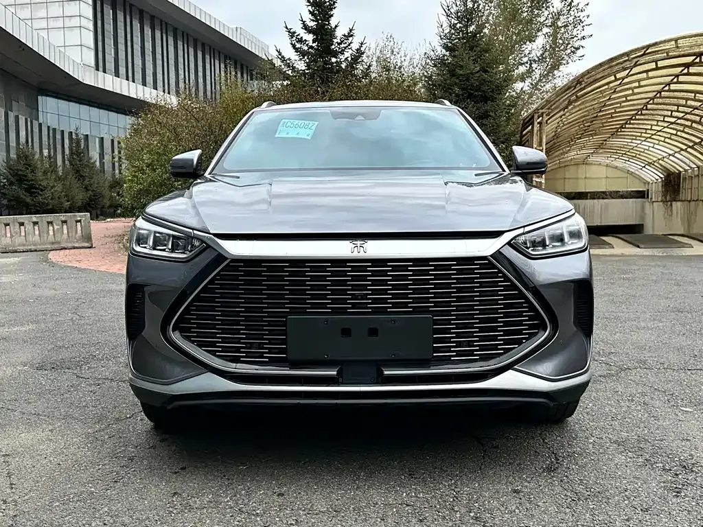 BYD PLUS New Energy 2021 из CN, фото 2