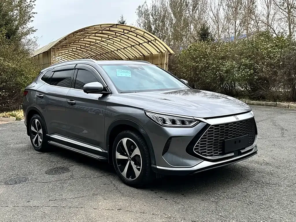 BYD PLUS New Energy 2021 из CN, фото 3