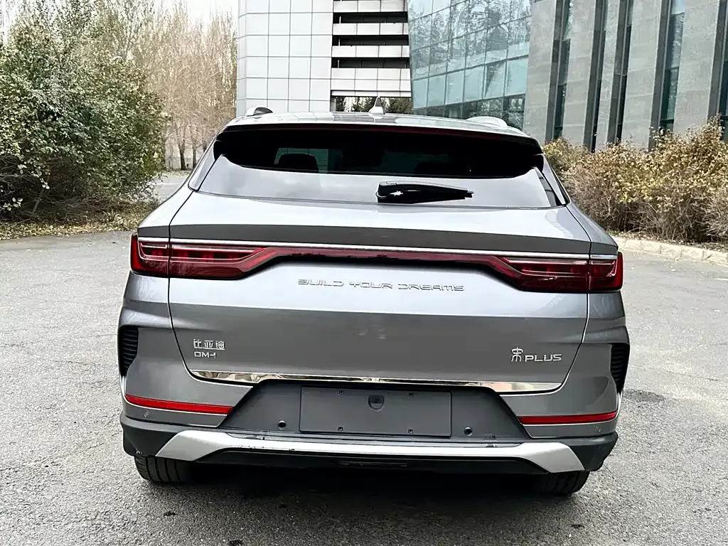 BYD PLUS New Energy 2021 из CN, фото 6