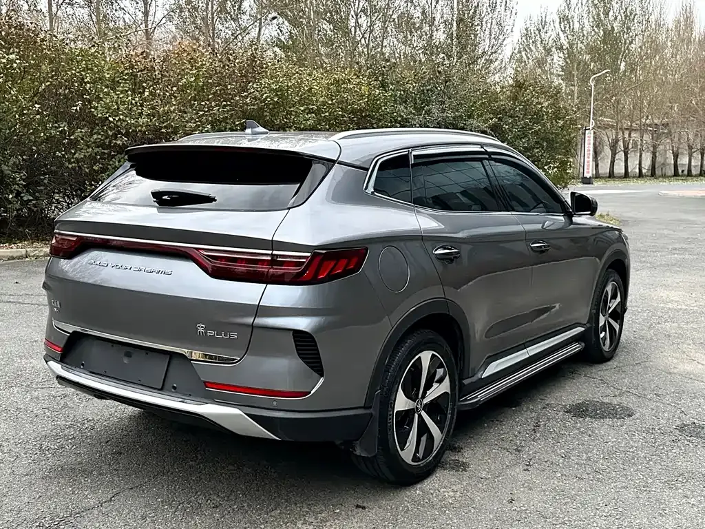 BYD PLUS New Energy 2021 из CN, фото 7