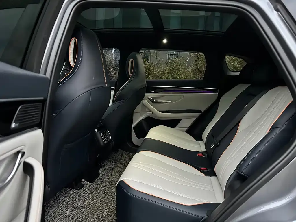 BYD PLUS New Energy 2021 из CN, фото 8