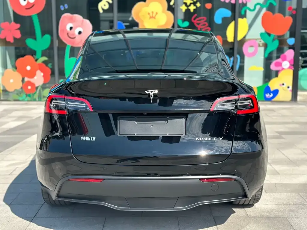Tesla Model Y 2023 из CN, фото 2