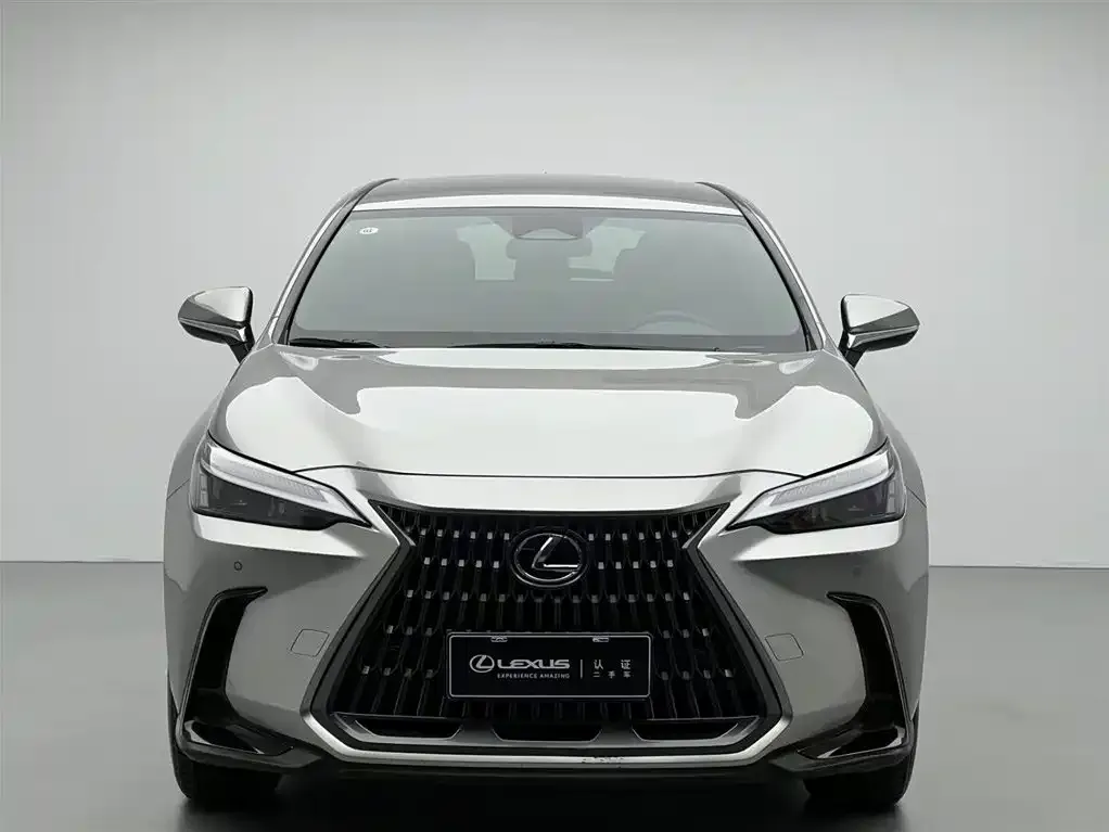 Lexus NX 2023 из CN, фото 2