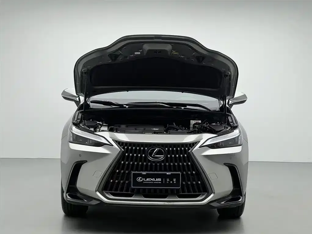 Lexus NX 2023 из CN, фото 3