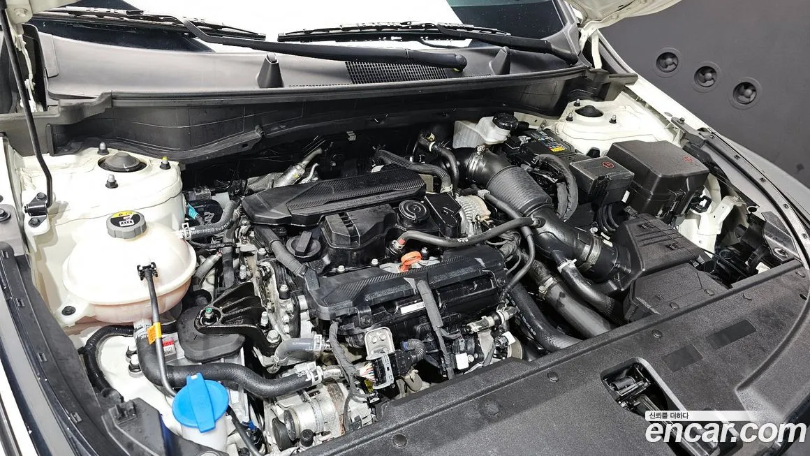 Kia Sportage — фото 6
