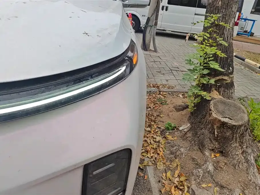 Li Auto L8 2024 из CN, фото 5