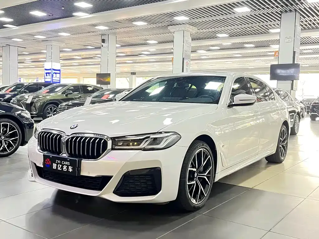 BMW 5 Series 2022 из CN, фото 1