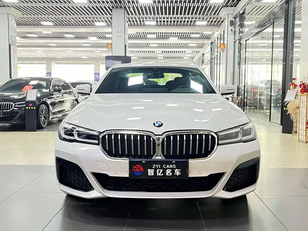 BMW 5 Series 2022 из CN, фото 2