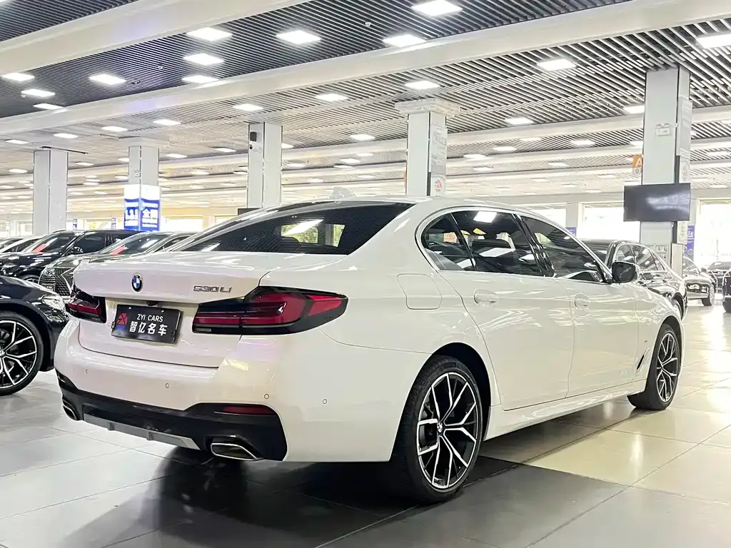 BMW 5 Series 2022 из CN, фото 4
