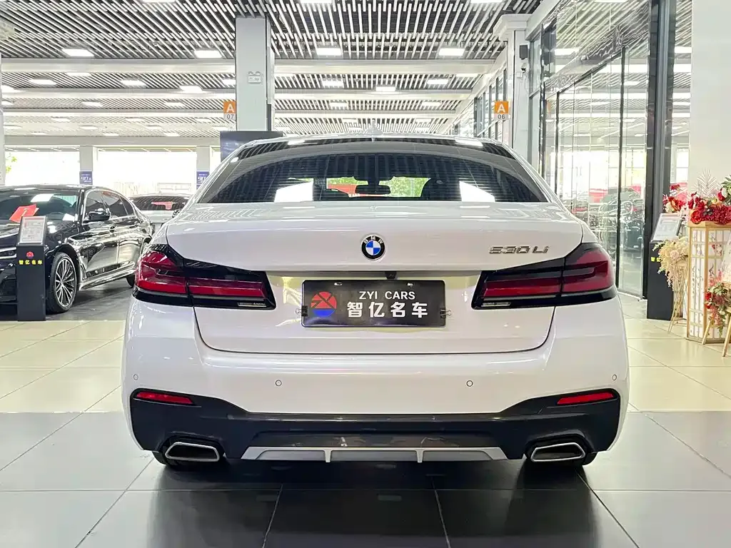 BMW 5 Series 2022 из CN, фото 5