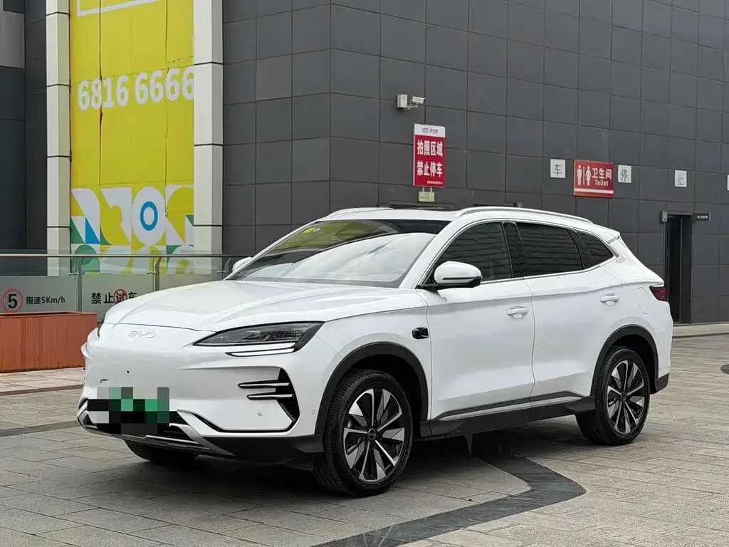 BYD PLUS New Energy — фото 1