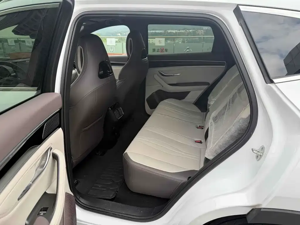 BYD PLUS New Energy — фото 10