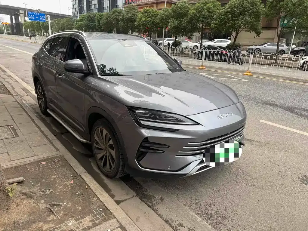 BYD PLUS New Energy — фото 2