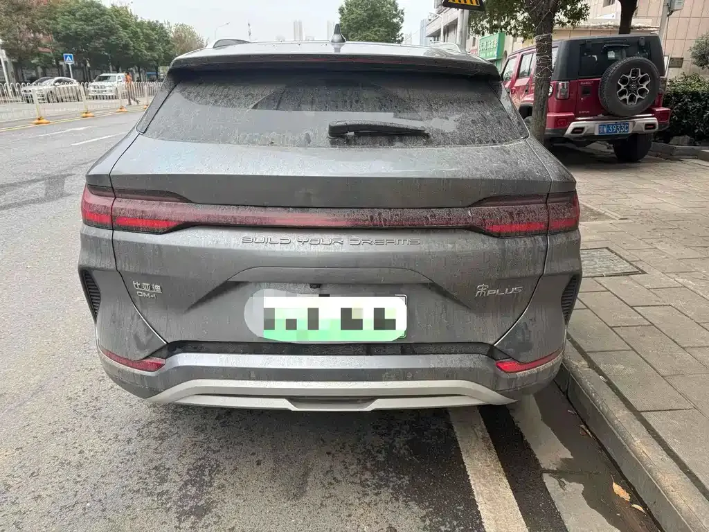 BYD PLUS New Energy — фото 8