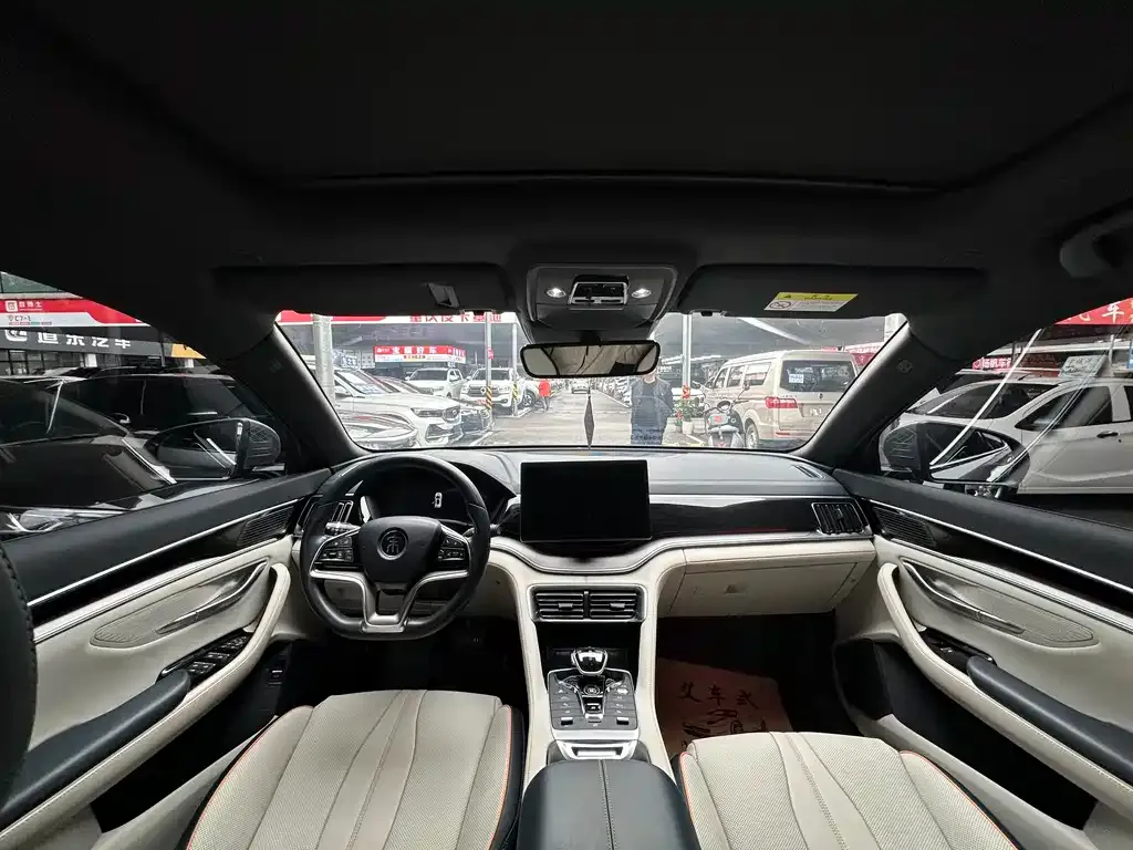 BYD PLUS New Energy — фото 4