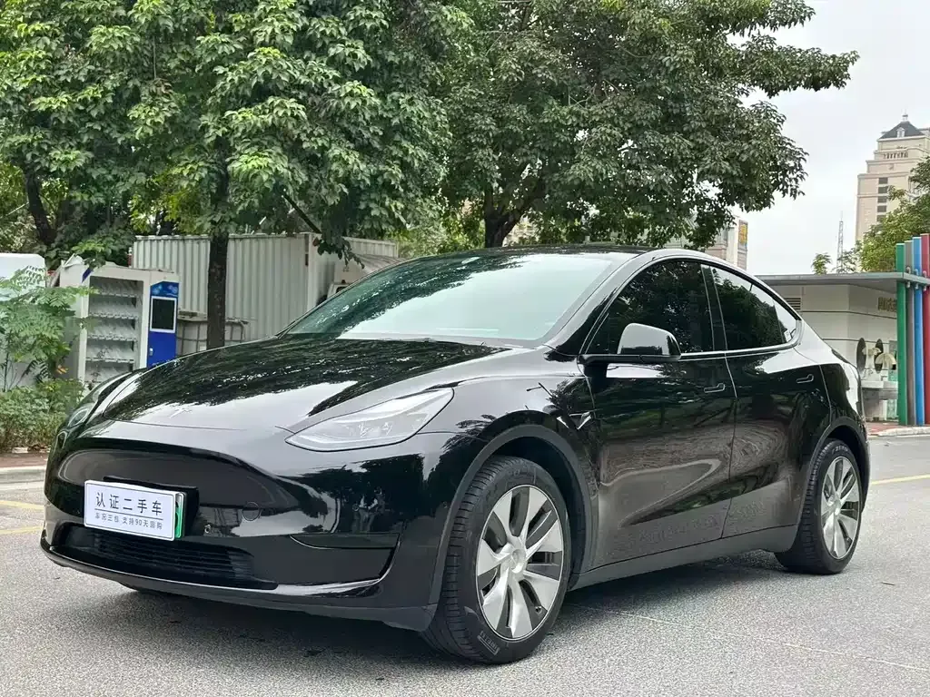 Tesla Model Y — фото 1