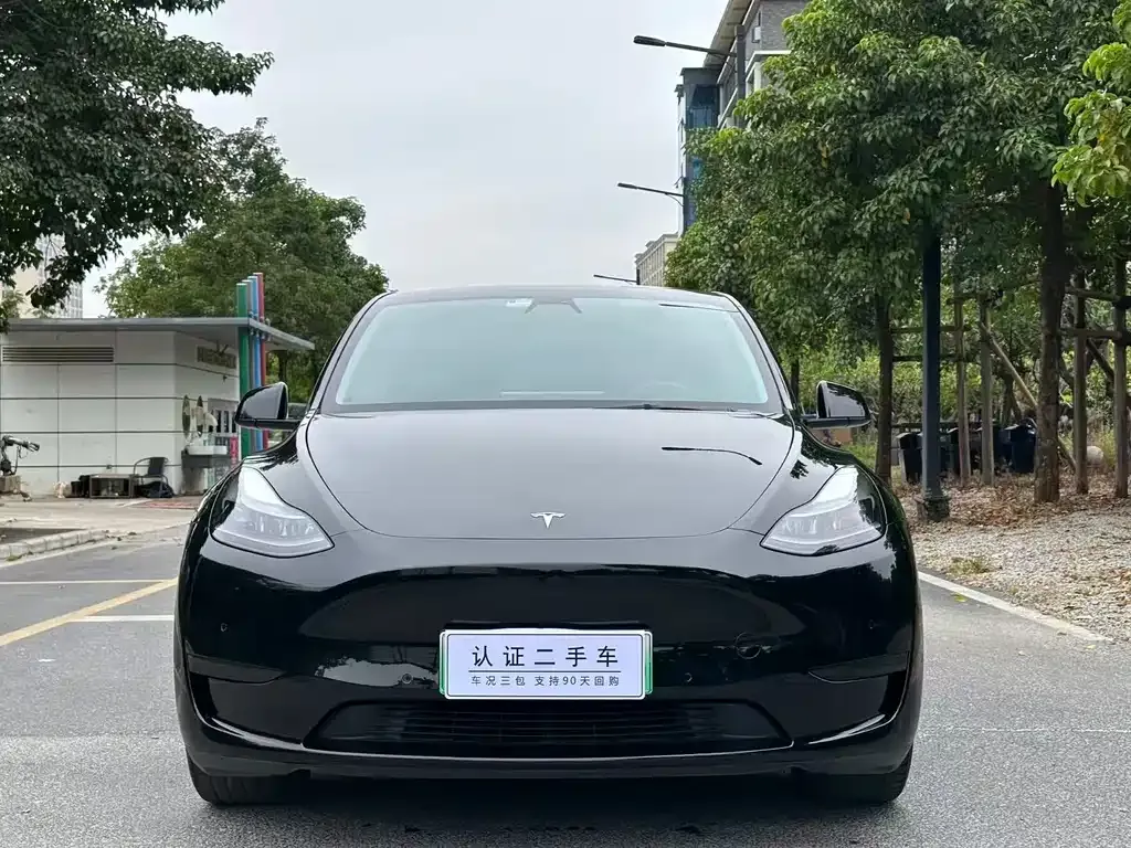 Tesla Model Y — фото 2