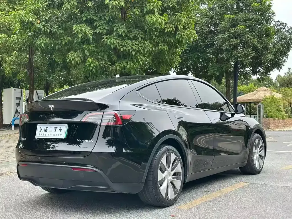 Tesla Model Y — фото 9