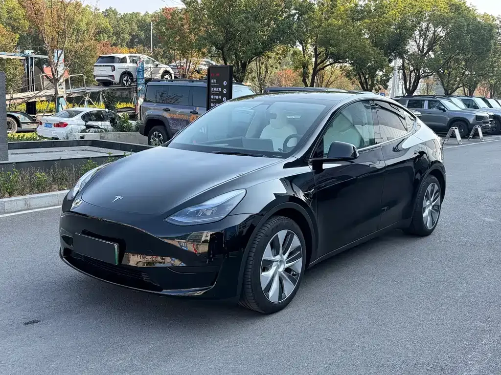 Tesla Model Y 2022 из CN, фото 1