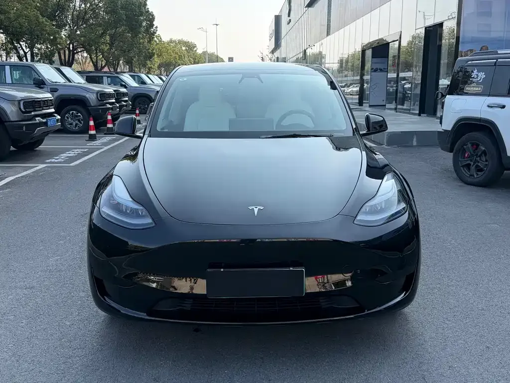 Tesla Model Y 2022 из CN, фото 2