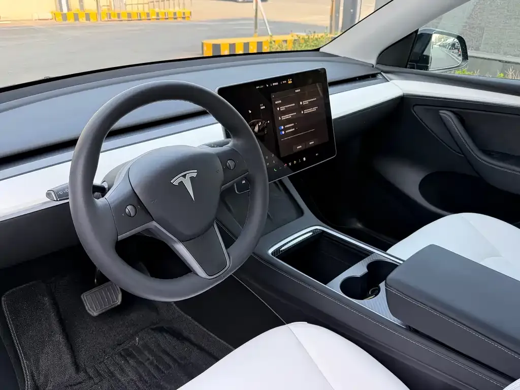 Tesla Model Y 2022 из CN, фото 3