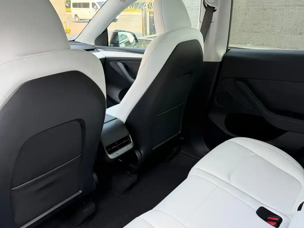 Tesla Model Y 2022 из CN, фото 4