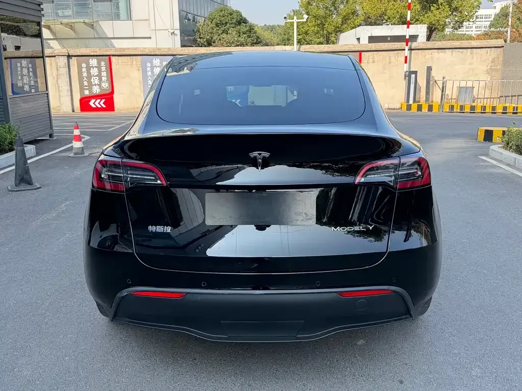 Tesla Model Y 2022 из CN, фото 6