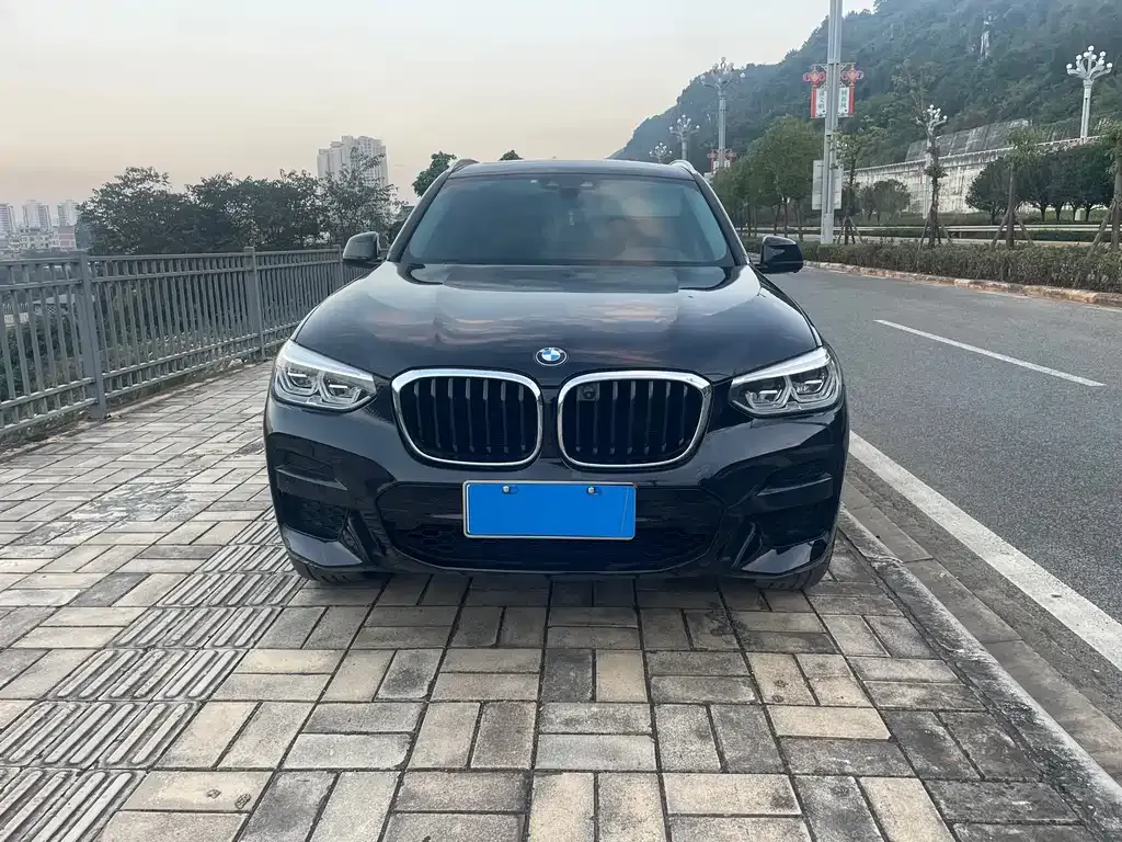 BMW X3 2021 из CN, фото 4