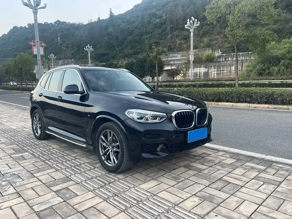 BMW X3 2021 из CN, фото 6