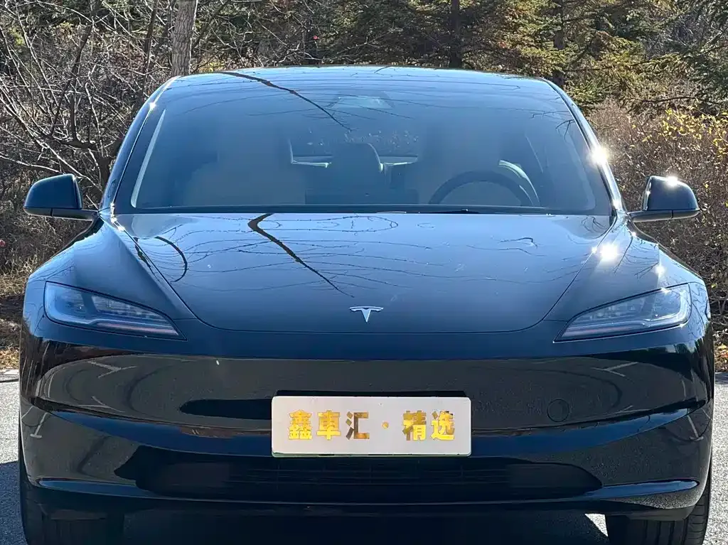 Tesla Model 3 — фото 2