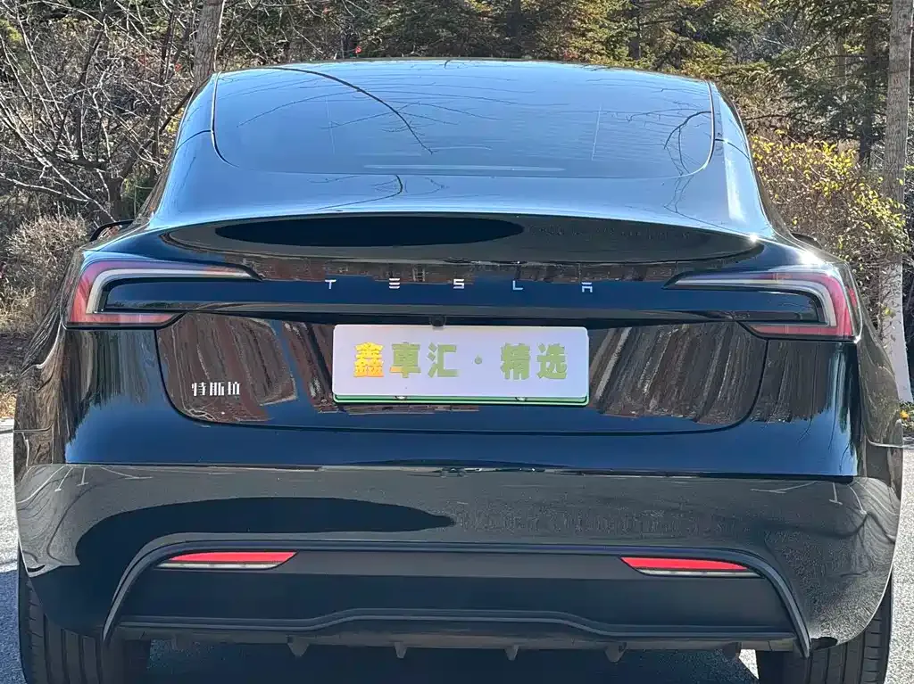 Tesla Model 3 — фото 5