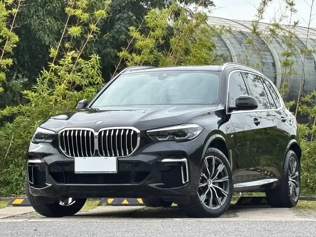 BMW X5 2023 из CN, фото 1