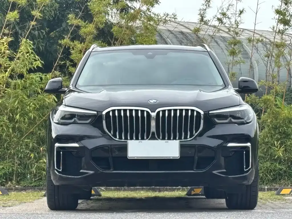 BMW X5 2023 из CN, фото 2