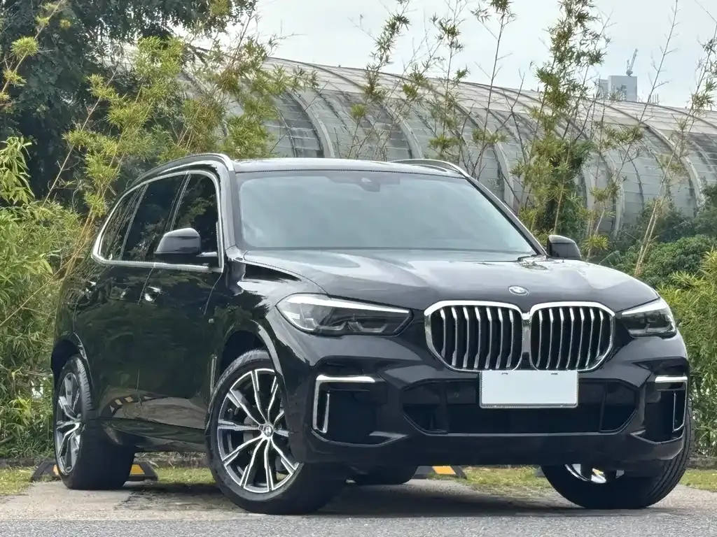 BMW X5 2023 из CN, фото 3