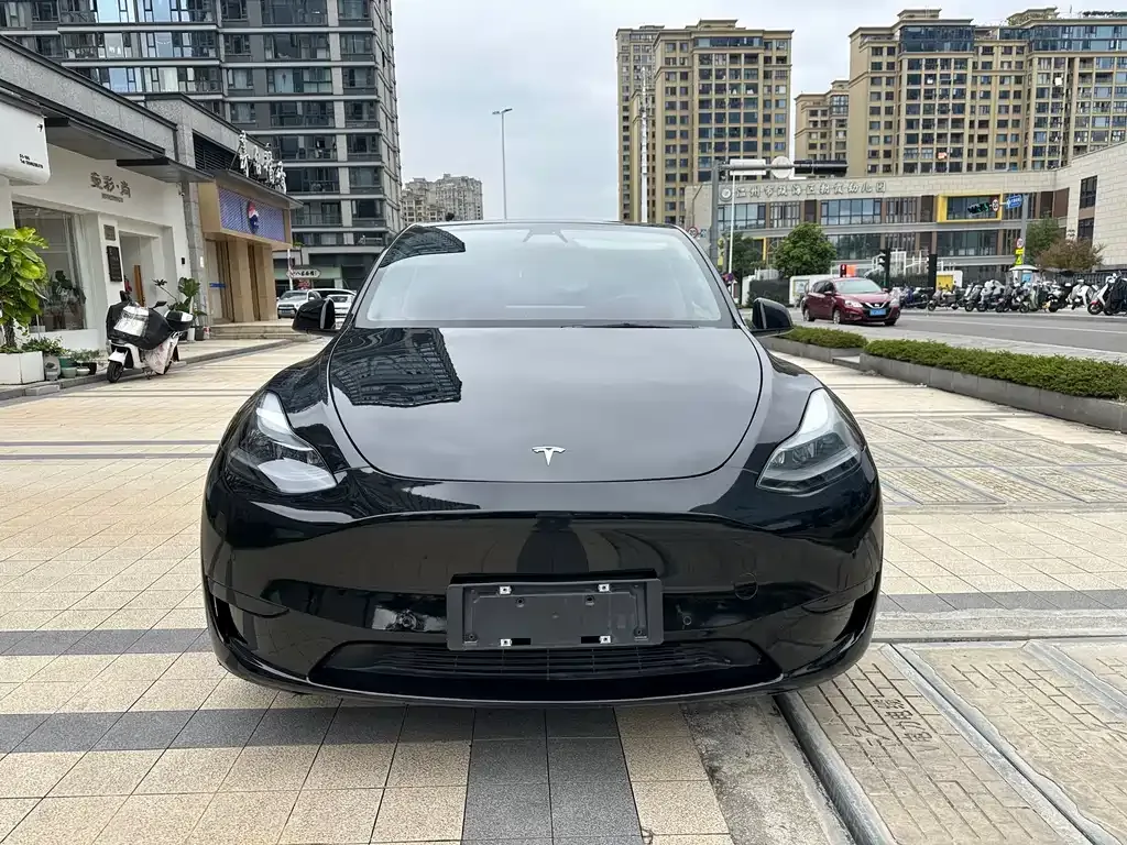 Tesla Model Y — фото 1